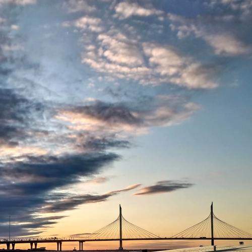 Photo #6157890