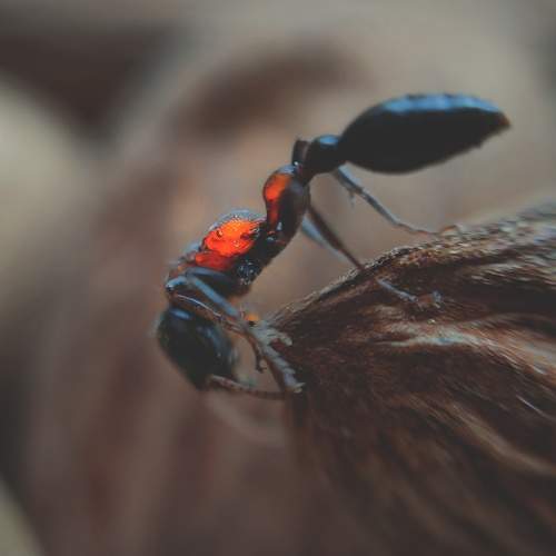Photo #6158370