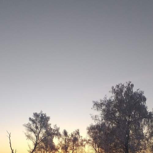 Photo #6158380