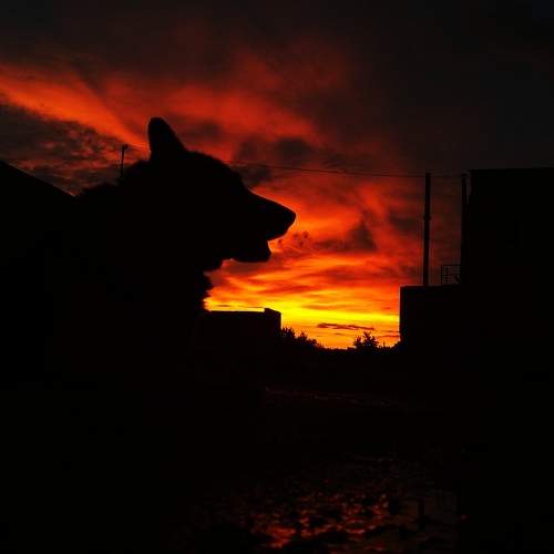 Photo #6158409