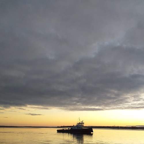 Photo #6158456