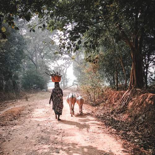 Photo #6158485