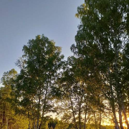 Photo #6158495