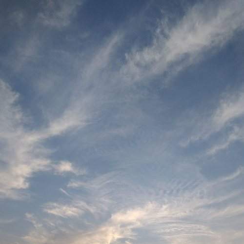 Photo #6158497