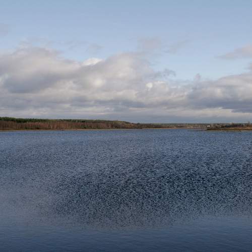 Photo #6158626