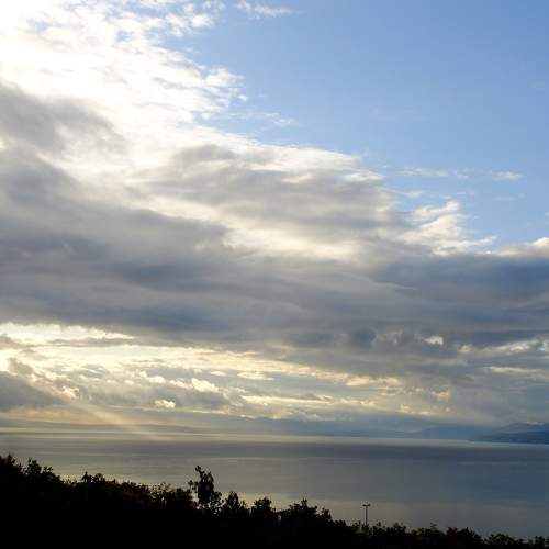 Photo #6158630