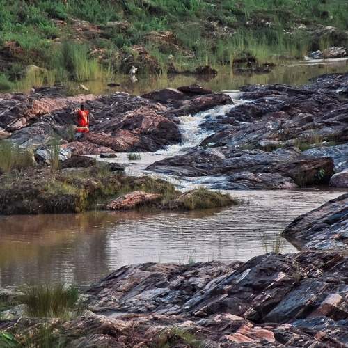 Photo #6158824