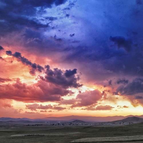 Photo #6159080