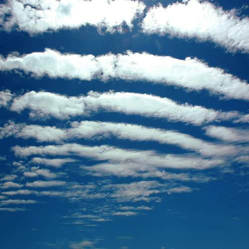 Photo #6159957
