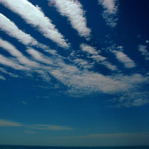 Photo #6159959