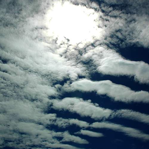 Photo #6159962