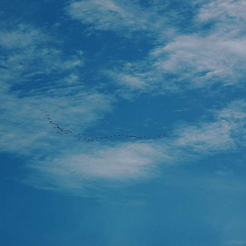 Photo #6159963