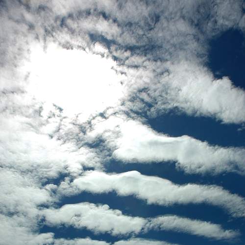 Photo #6159978