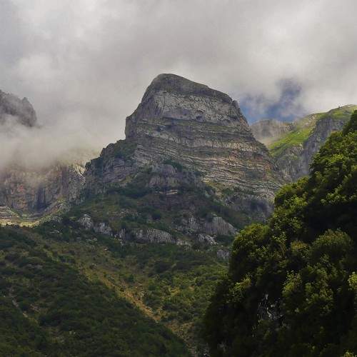 Photo #6160203