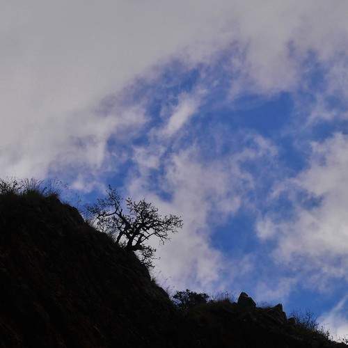 Photo #6160206