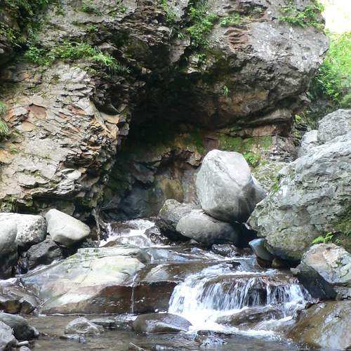Photo #6160318