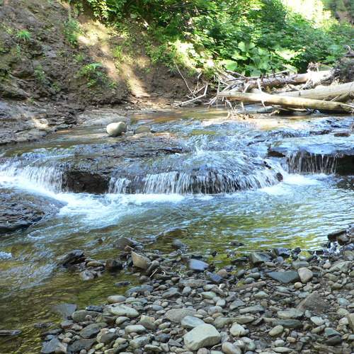Photo #6160319