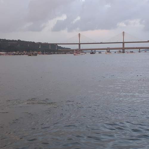 Photo #6160552