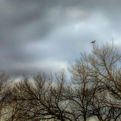 Alone
