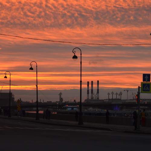 Photo #6161082