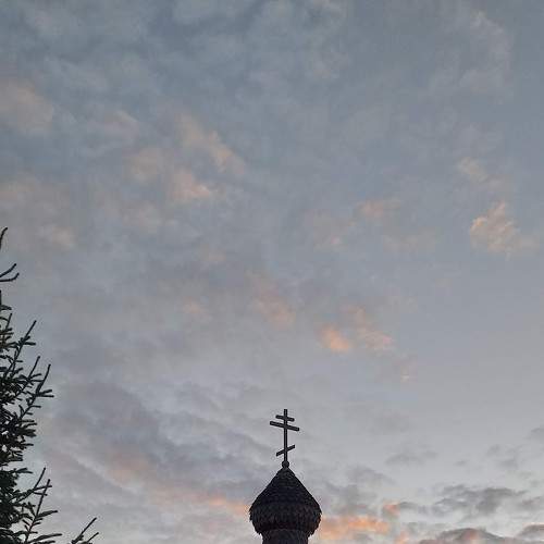 Photo #6161430