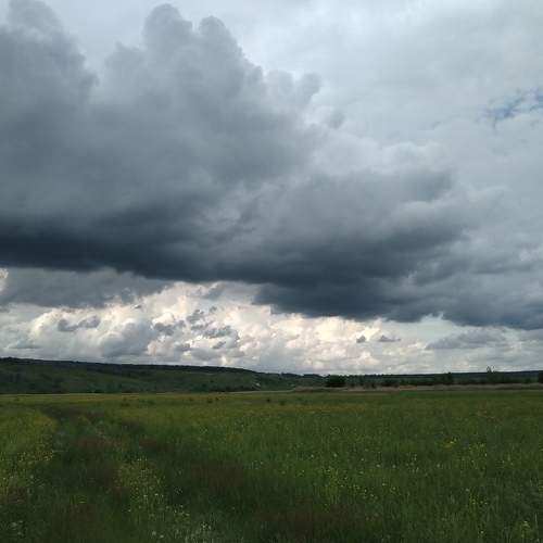 Photo #6161585