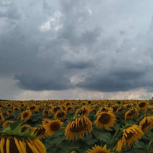 Photo #6161586