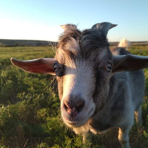 Photo #6161601