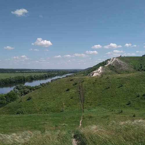 Photo #6161606