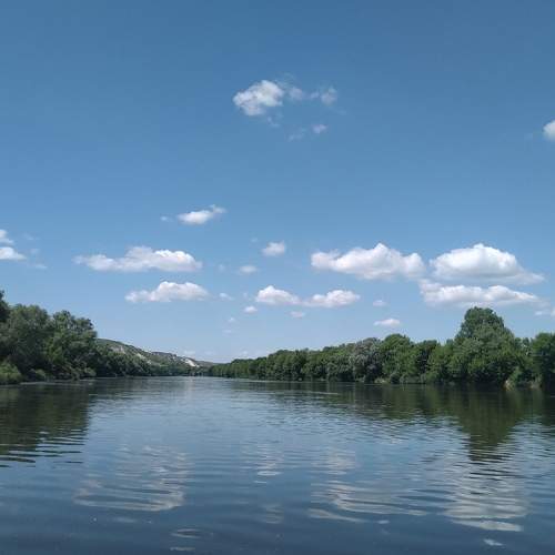 Photo #6161607