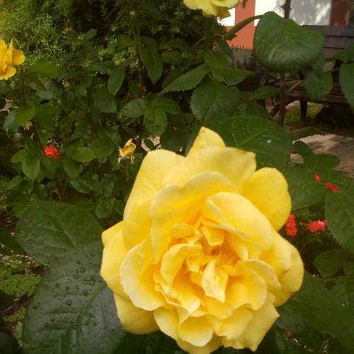 Photo #6161764
