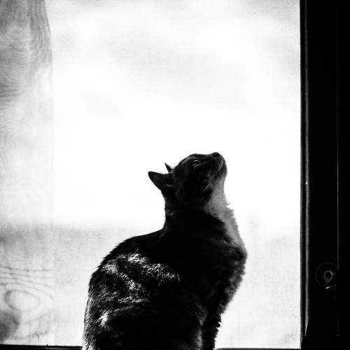 Photo #6161817