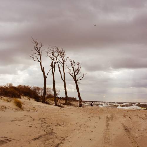 Photo #6161836