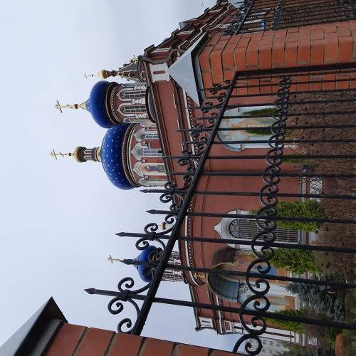 Photo #6161983
