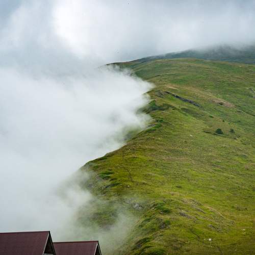 Photo #6162290