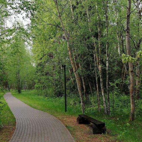 Photo #6162359