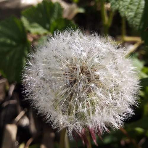 Photo #6162524