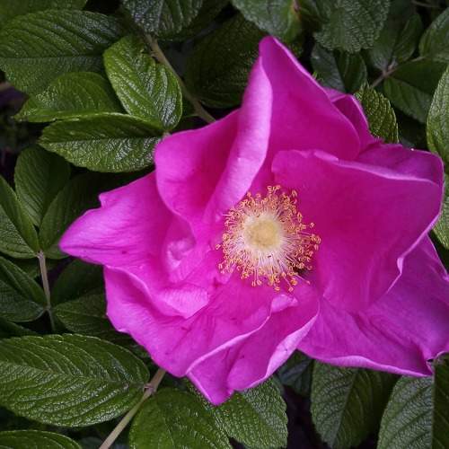 Photo #6162526