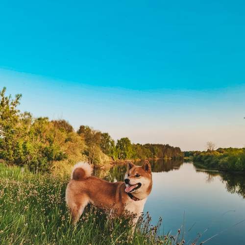 Photo #6162691