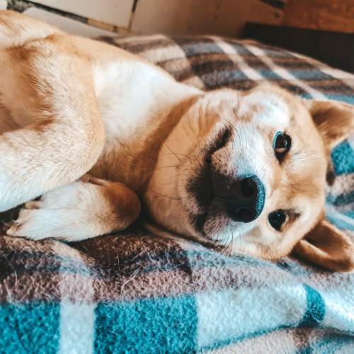 Photo #6162692