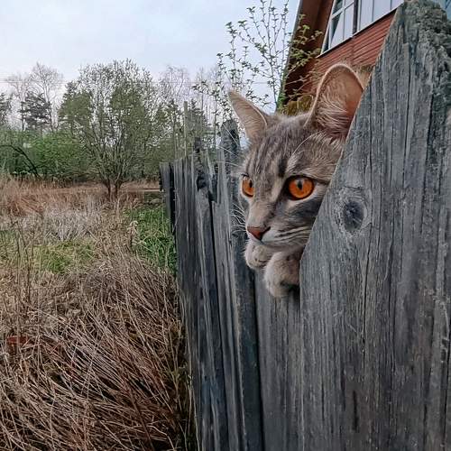 Photo #6162693