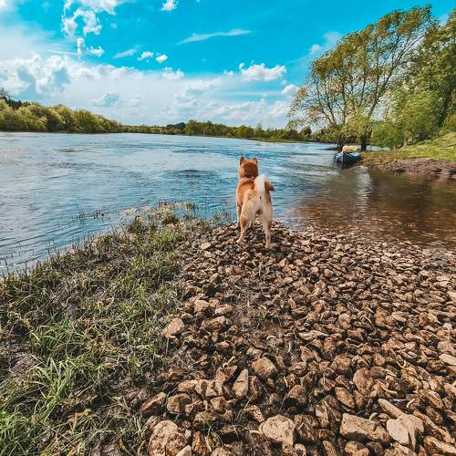 Photo #6162705