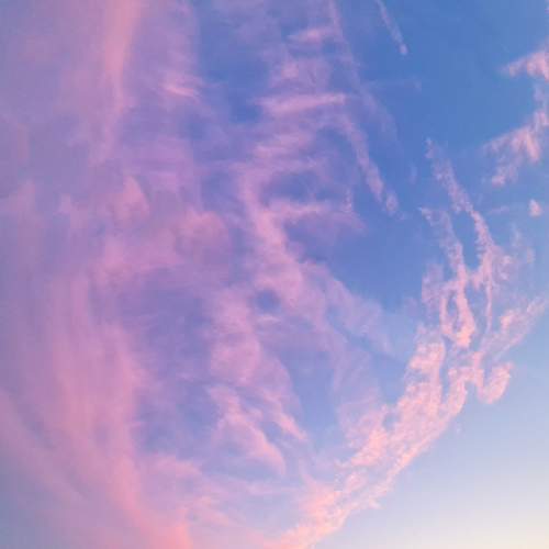 Photo #6162708