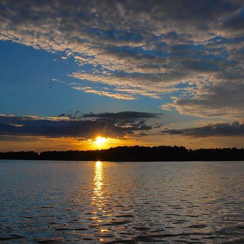 Photo #6162833