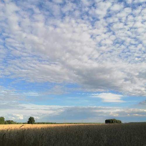 Photo #6162925