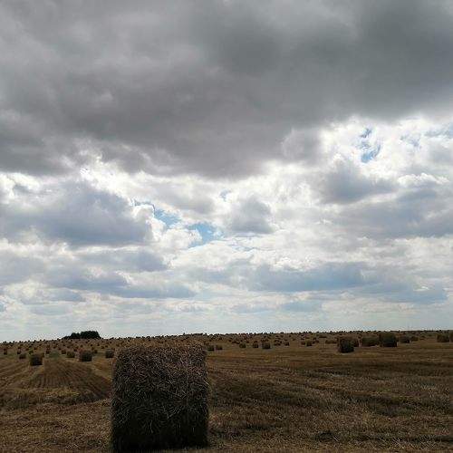 Photo #6162930