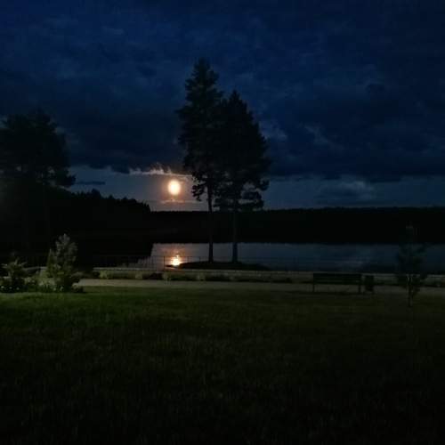 Photo #6162959