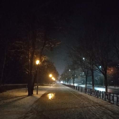 Photo #6162970