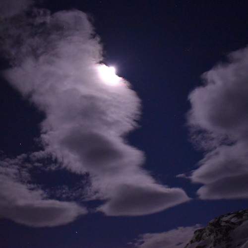 Photo #6163041