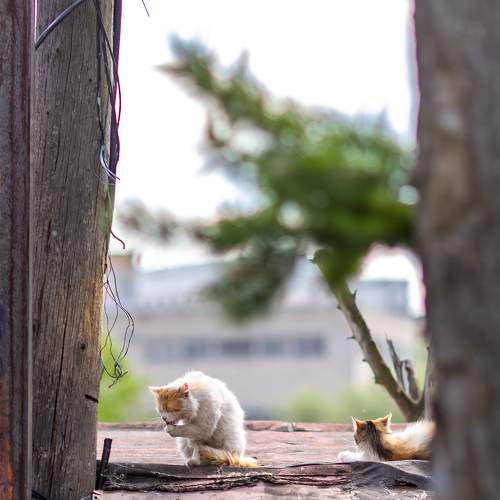 Photo #6163208